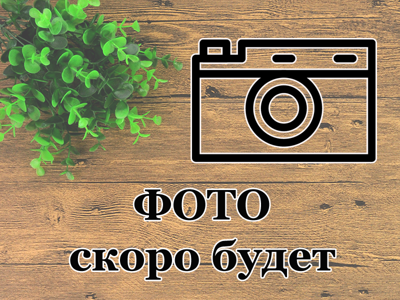 no_image83